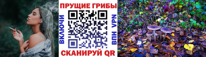 где найти наркотики  Красновишерск  дарк нет официальный сайт  Галлюциногенные грибы мицелий 